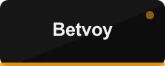 Betvoy logo