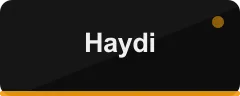 Haydi logo